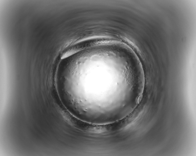 X0000085780353200703161211