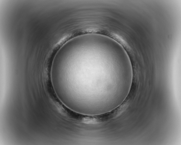 X0000085780354200703161211