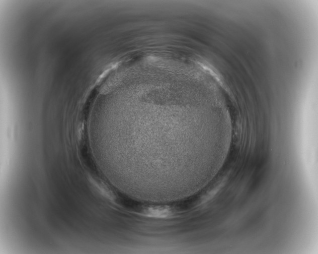 X0000085780355200703161211