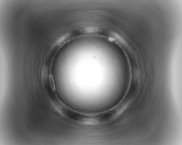 X0000085780356200703161211