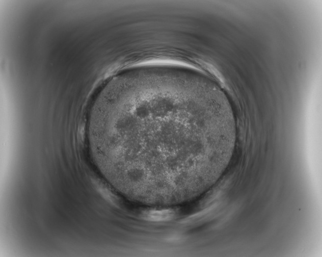 X0000085780357200703161211