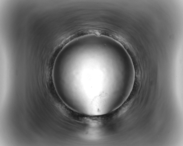 X0000085780359200703161211