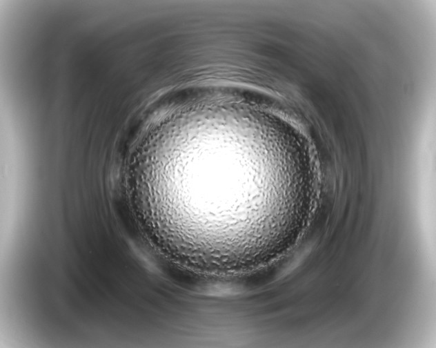 X0000085780360200703161211