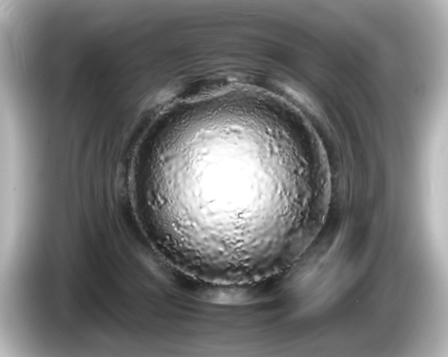 X0000085780361200703161211