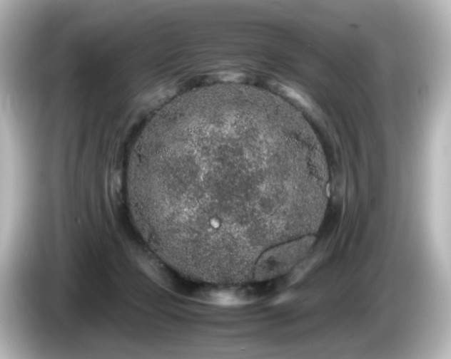 X0000085780365200703161211