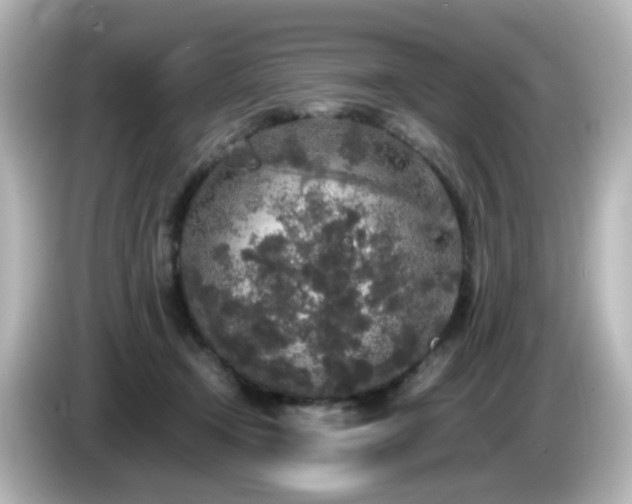 X0000085780366200703161211