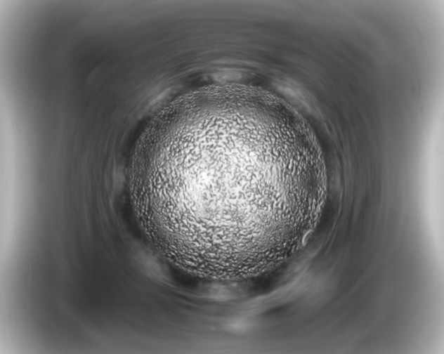 X0000085780367200703161212