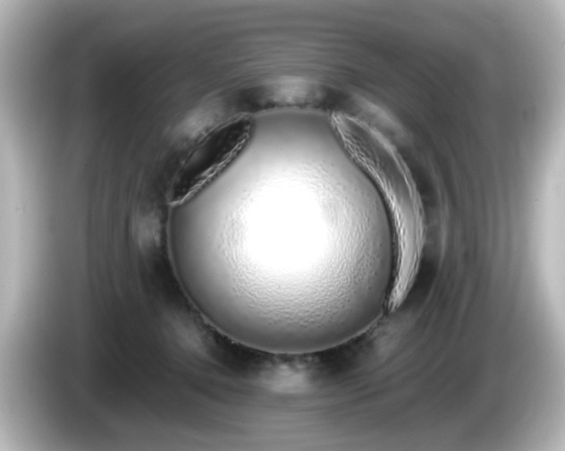 X0000085780368200703161212