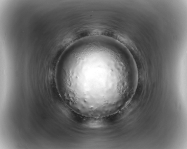 X0000085780369200703161212