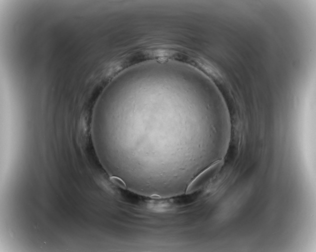 X0000085780373200703161212