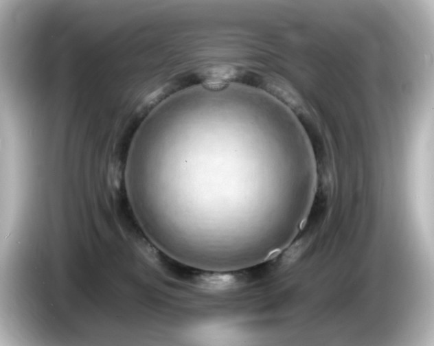 X0000085780374200703161212