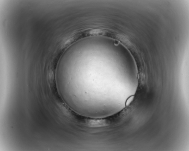 X0000085780375200703161212