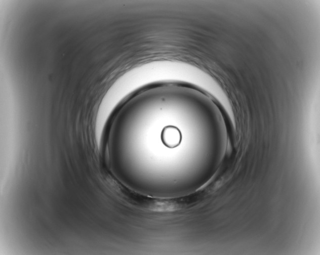 X0000085780376200703161212