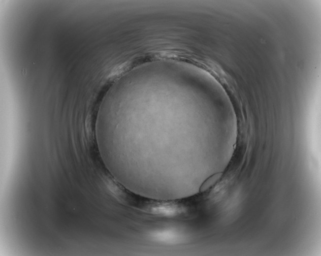 X0000085780377200703161212