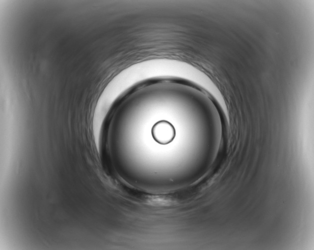 X0000085780380200703161212