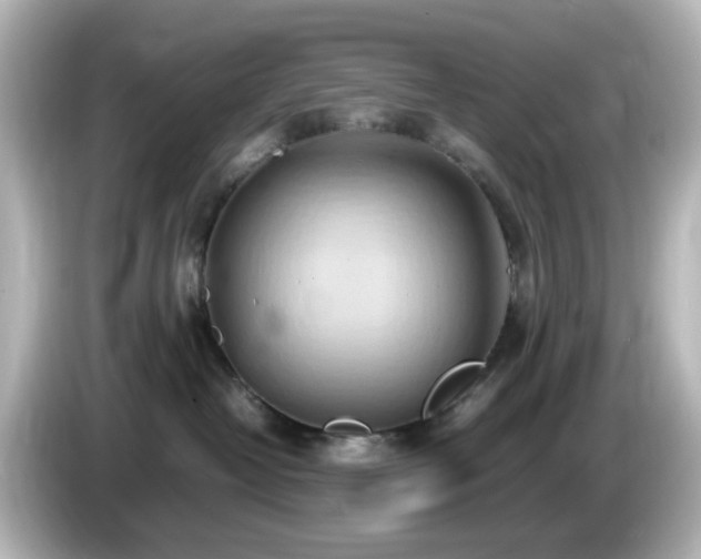 X0000085780382200703161212