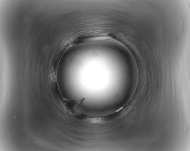 X0000085780384200703161212