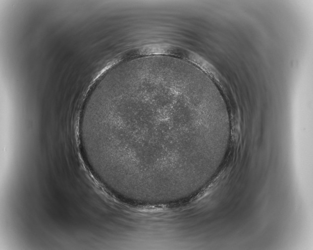 X0000085780386200703161211