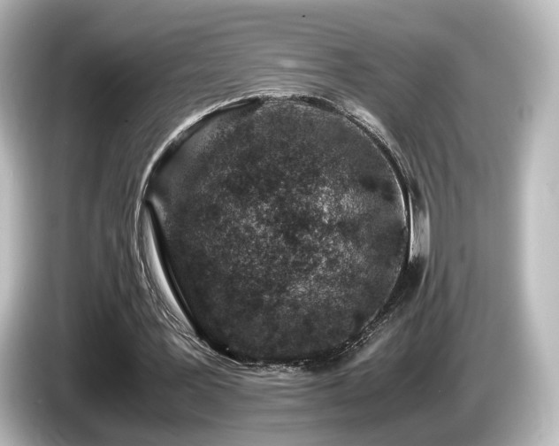 X0000085780387200703161211