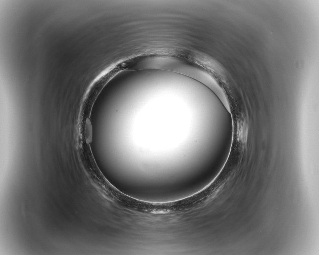 X0000085780388200703161211