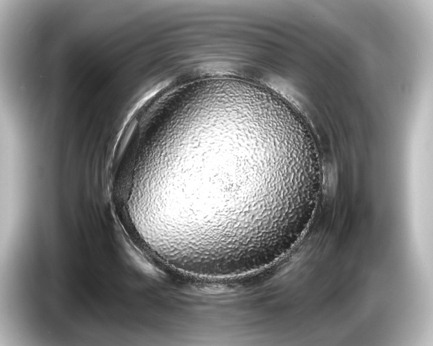 X0000085780390200703161211