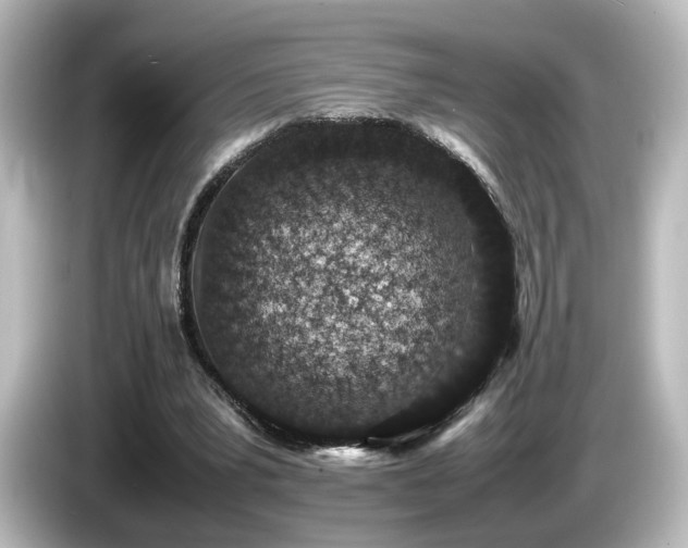 X0000085780391200703161211