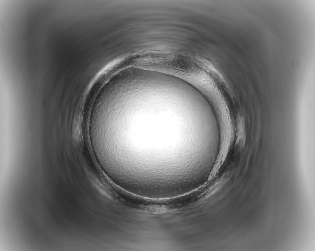 X0000085780392200703161211