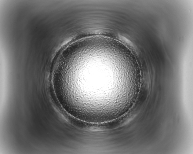 X0000085780394200703161211