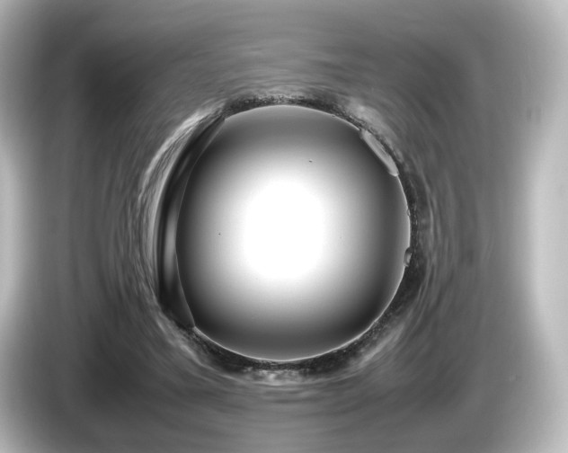 X0000085780395200703161211