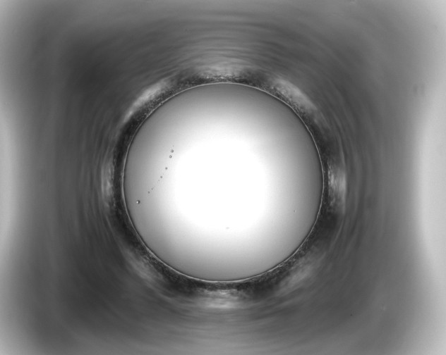 X0000085780396200703161211