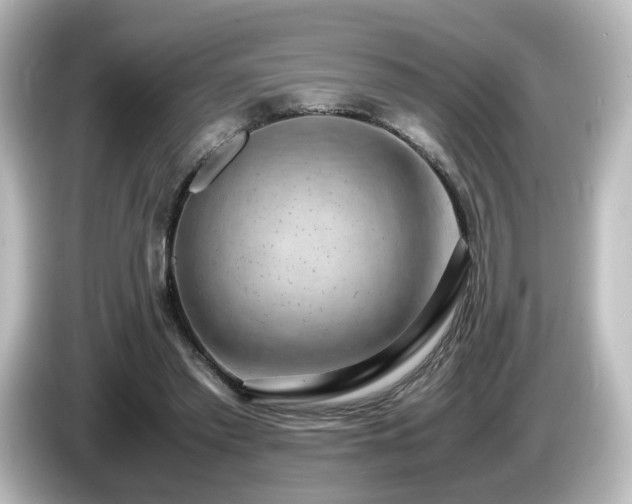 X0000085780397200703161211