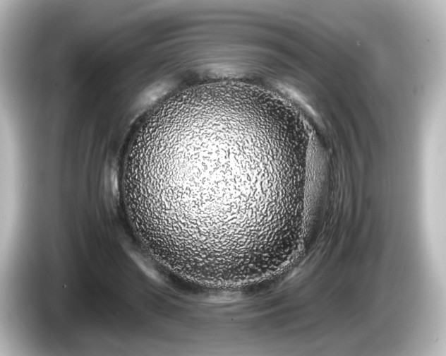 X0000085780398200703161211