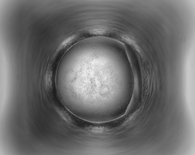 X0000085780400200703161211