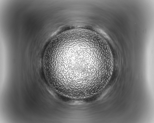 X0000085780401200703161211