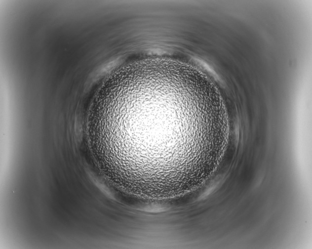 X0000085780402200703161211