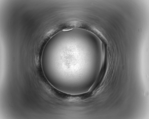 X0000085780403200703161211