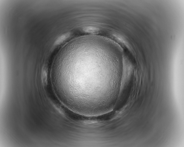 X0000085780404200703161211