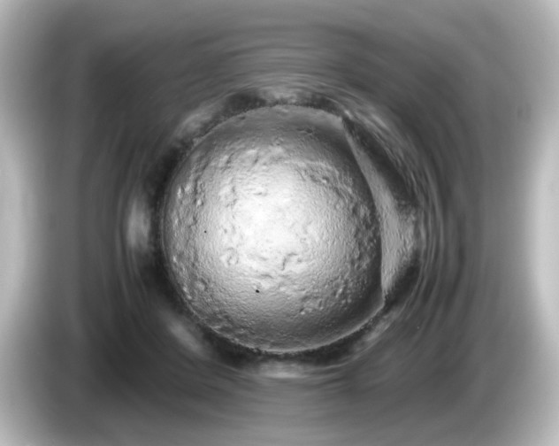 X0000085780408200703161211