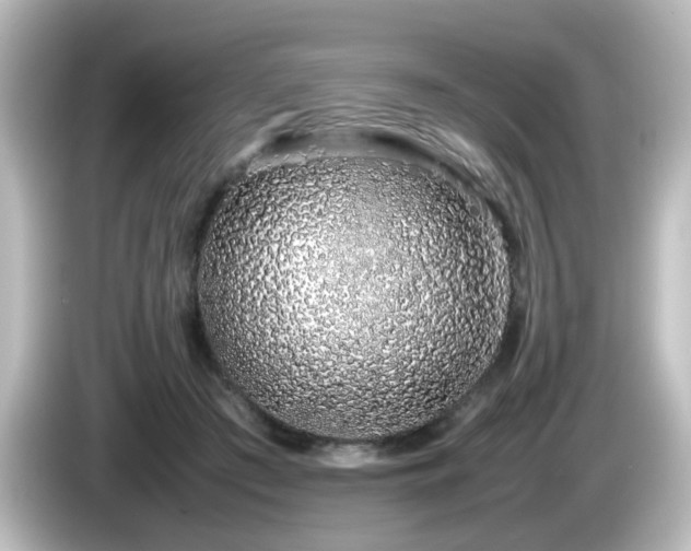 X0000085780409200703161211