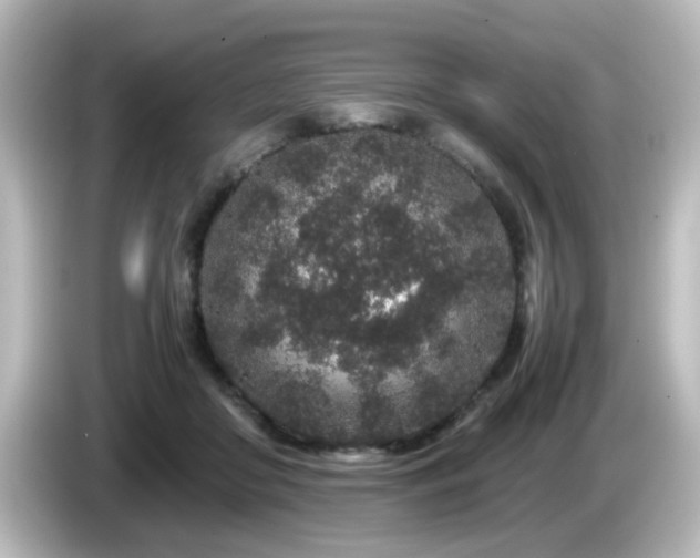 X0000085780410200703161211