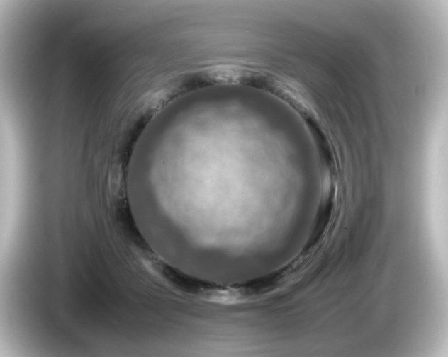 X0000085780411200703161211