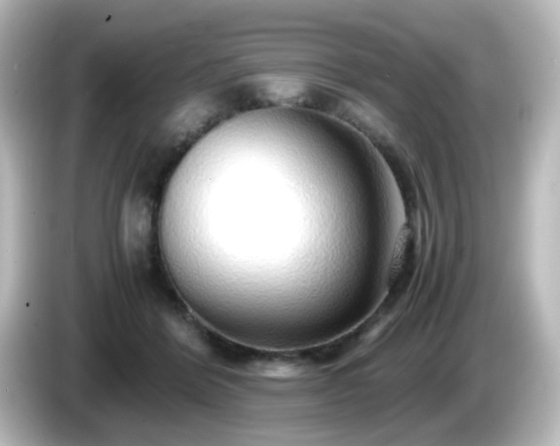 X0000085780412200703161211