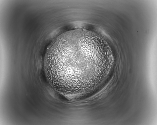 X0000085780413200703161211