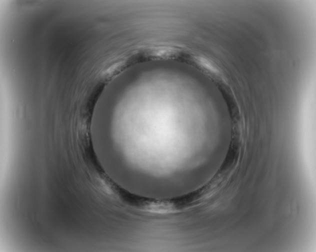 X0000085780415200703161211