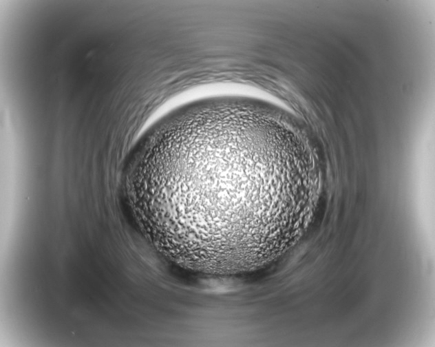 X0000085780417200703161211