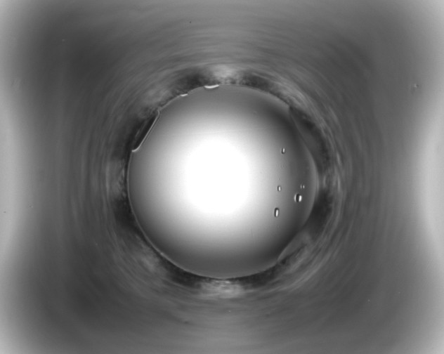 X0000085780421200703161211