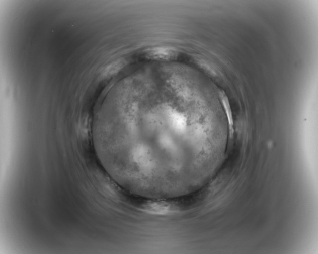 X0000085780423200703161211