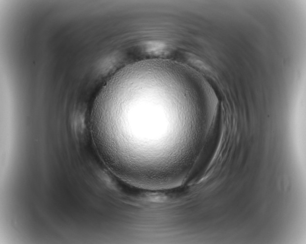 X0000085780424200703161211