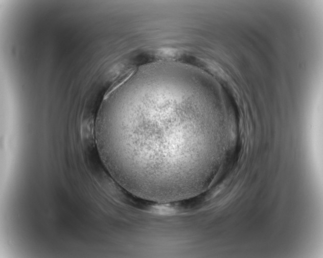 X0000085780425200703161210