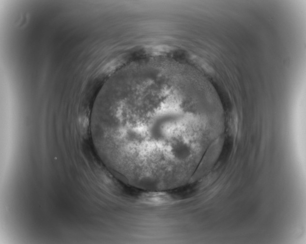 X0000085780427200703161210